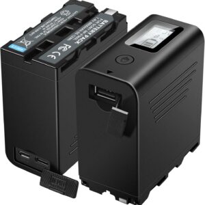 Sony NP-F980L Battery