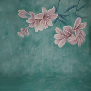 Photography Background Backdrop for Studio Adult Newborn Photography Backdrop 3m by 6m