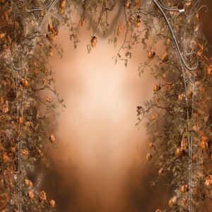 Photography Background Backdrop for Studio Adult Newborn Photography Backdrop 3m by 6m