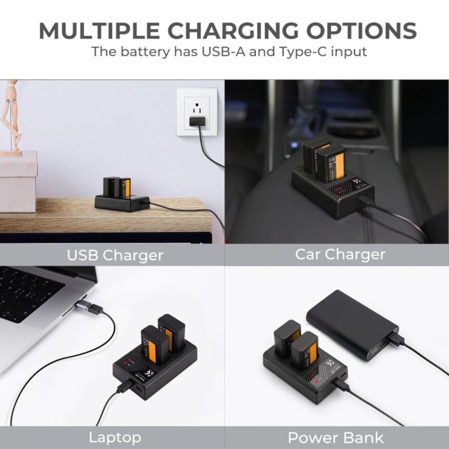 SONY NP FW50 Replacement Battery 2 Pack 1100mAh and SONY NP FW50 Double Charger for Sony A6000 A6500 A6300 A6400 A7 A7II A7RII A7SII A7S A7S2 A7R A7R2 A55 A5100 RX10
