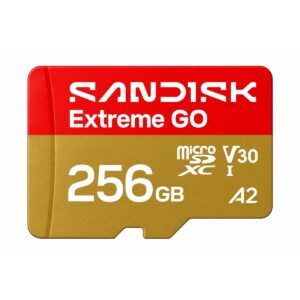 SanDisk Extreme GO 256GB microSD Card